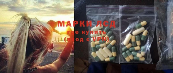 шишки Корсаков