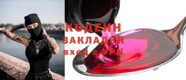 шишки Корсаков