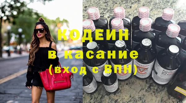 шишки Корсаков