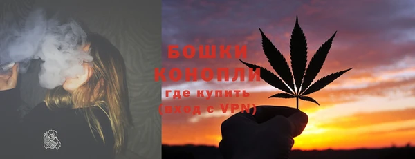 шишки Корсаков