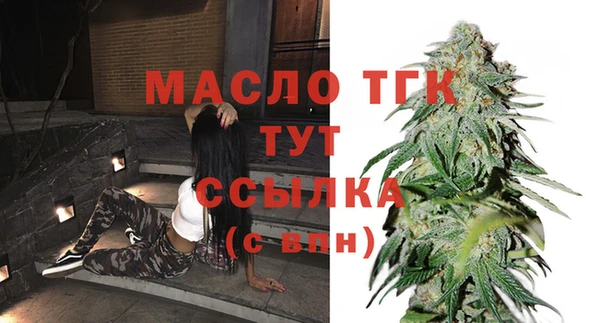 шишки Корсаков