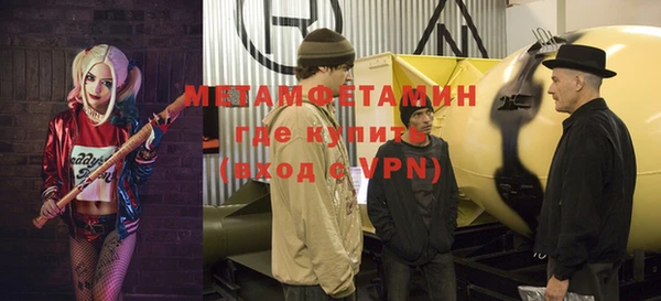 шишки Корсаков