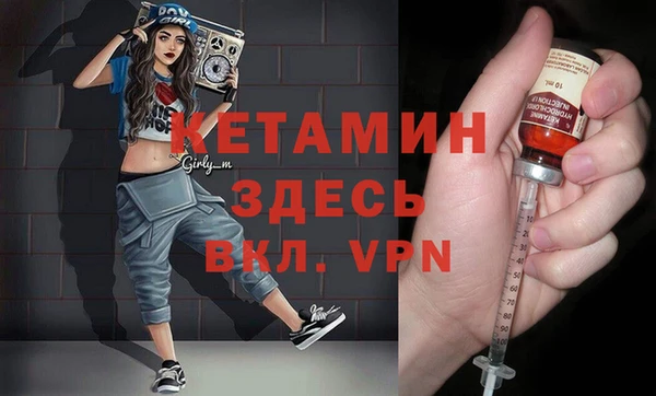 шишки Корсаков