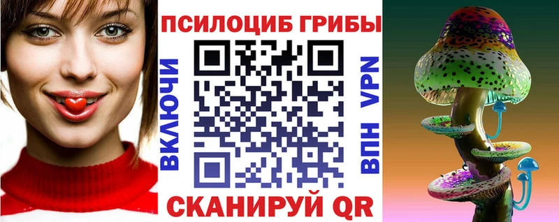 Купить  Красноярск  Галлюциногенные грибы GOLDEN TEACHER 